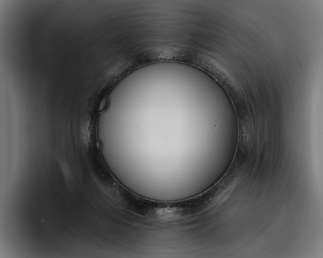 X0000096690216200802191435