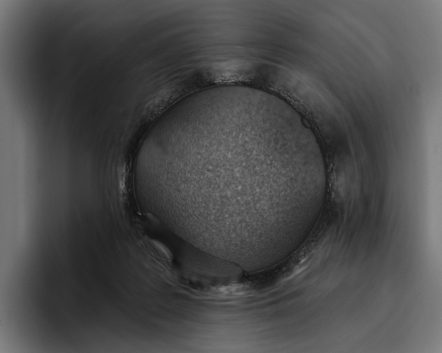 X0000096690219200802191434