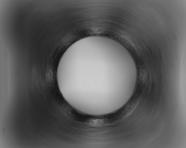 X0000096690220200802191434