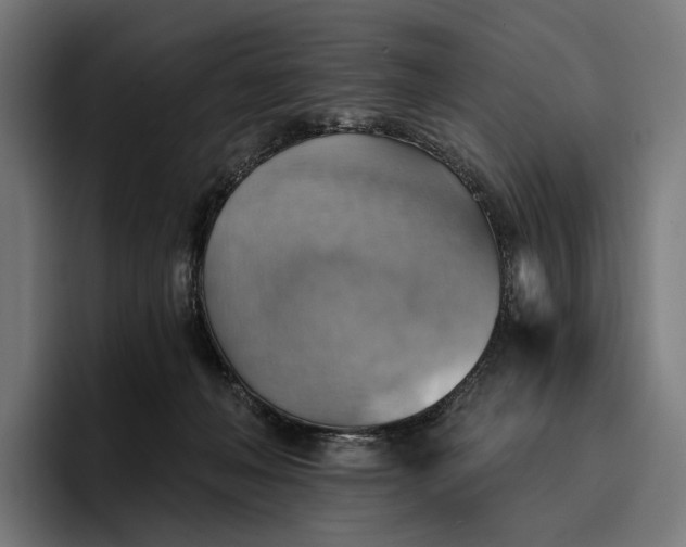 X0000096690222200802191434