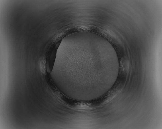 X0000096690223200802191434