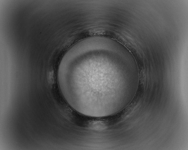 X0000096690224200802191434