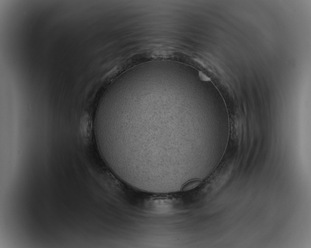 X0000096690228200802191434