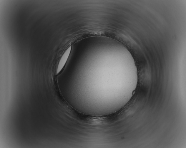 X0000096690229200802191434