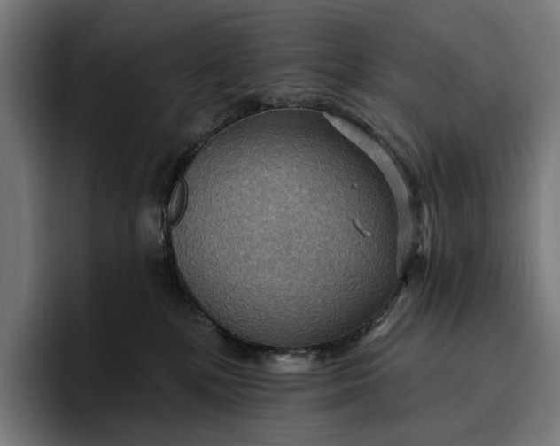 X0000096690232200802191434