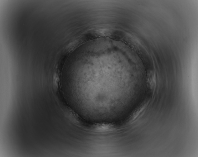 X0000096690235200802191434