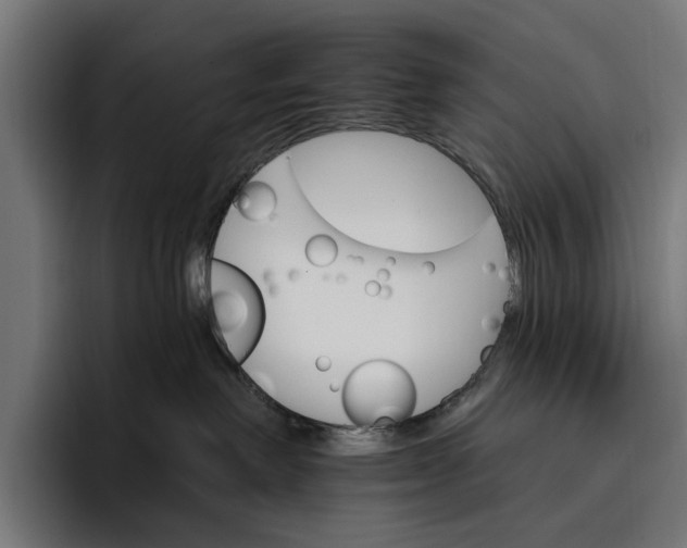 X0000096690238200802191434