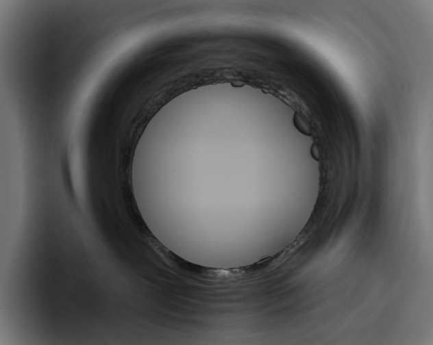 X0000096690239200802191434