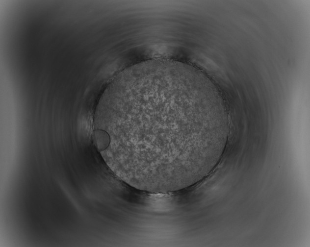 X0000096690240200802191434