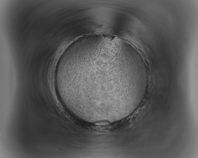 X0000096690241200802191434