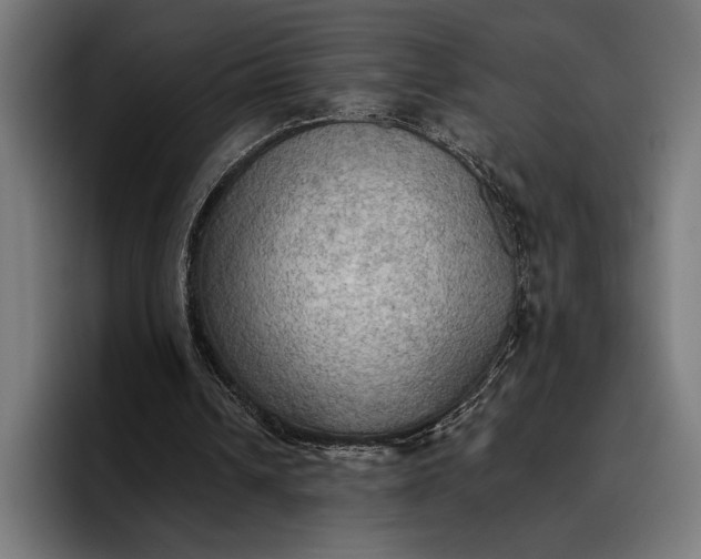 X0000096690242200802191434