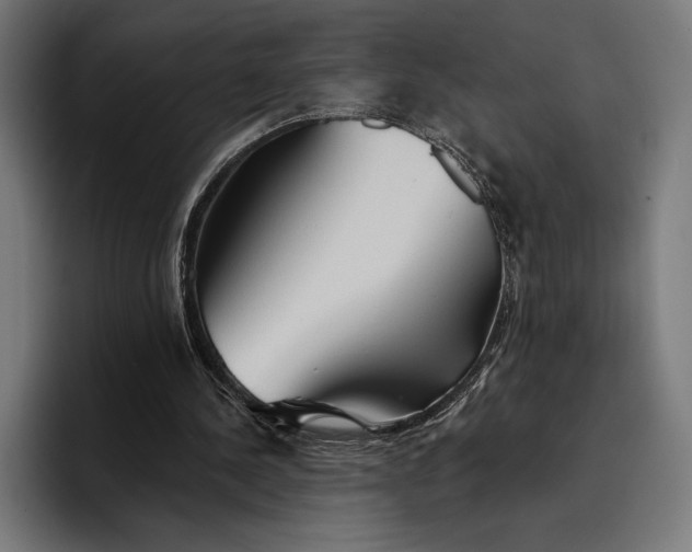 X0000096690244200802191434