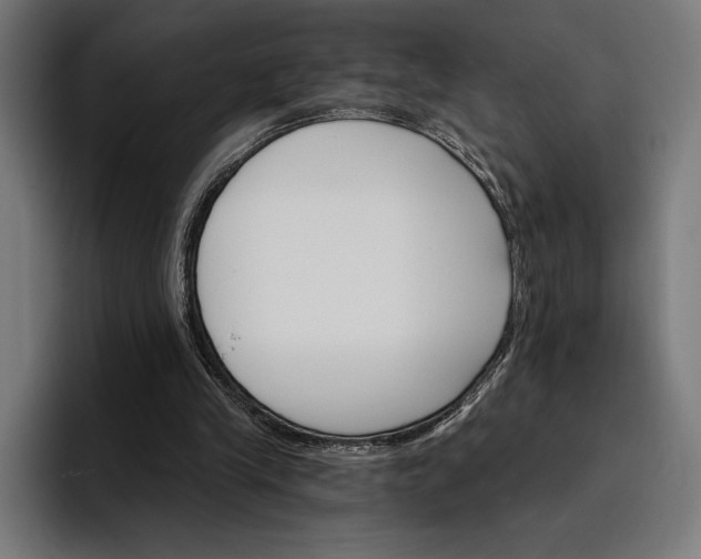 X0000096690245200802191434