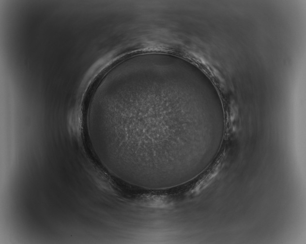 X0000096690247200802191434