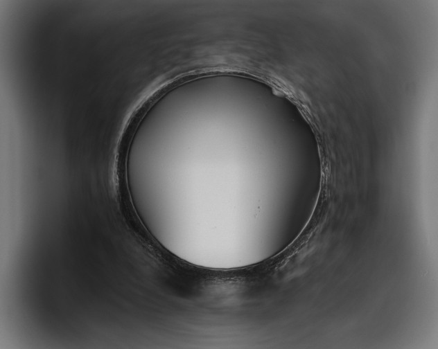 X0000096690248200802191434