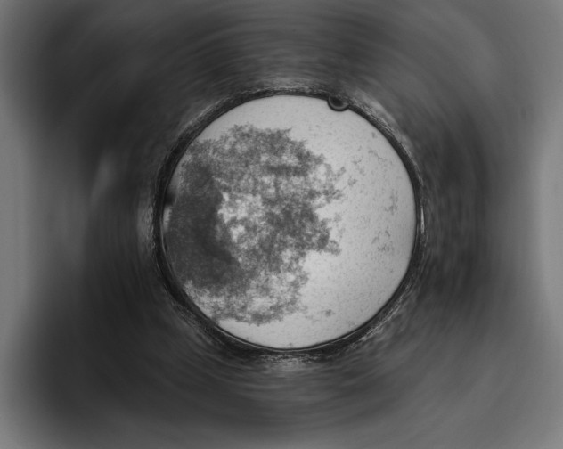 X0000096690249200802191434