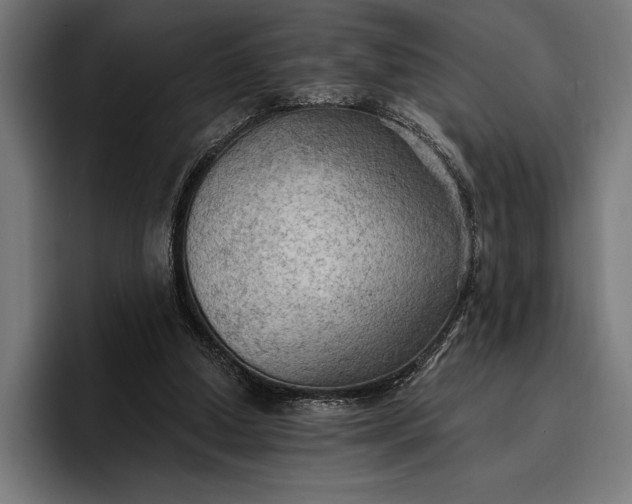 X0000096690250200802191434