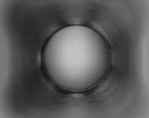 X0000096690251200802191434