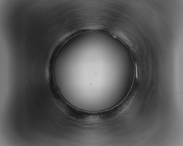 X0000096690252200802191434