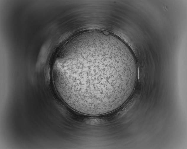 X0000096690253200802191434