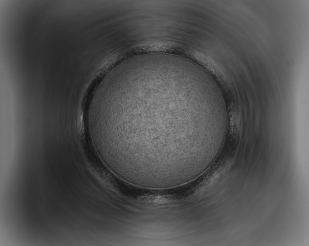 X0000096690254200802191434