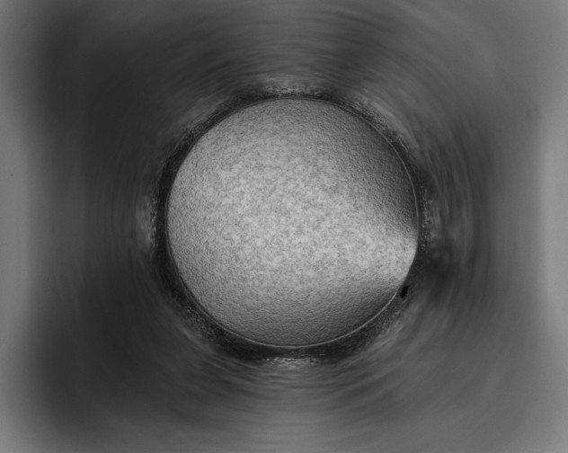 X0000096690255200802191434