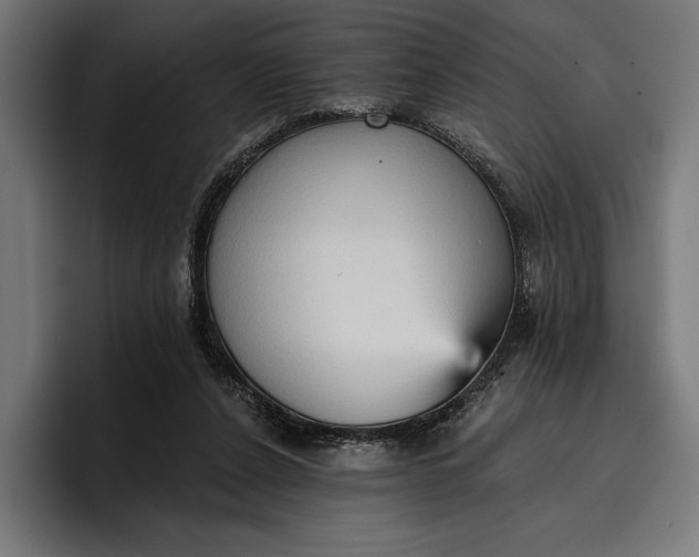 X0000096690256200802191434