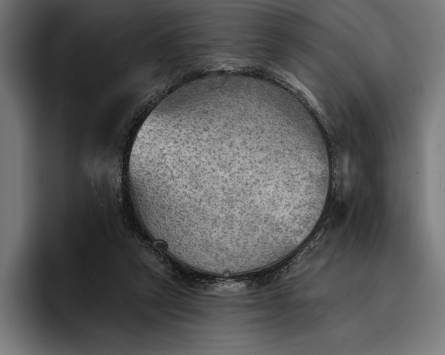 X0000096690257200802191434