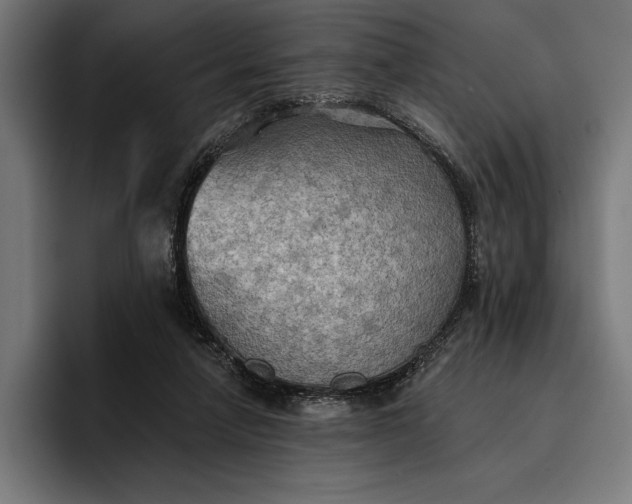 X0000096690258200802191434