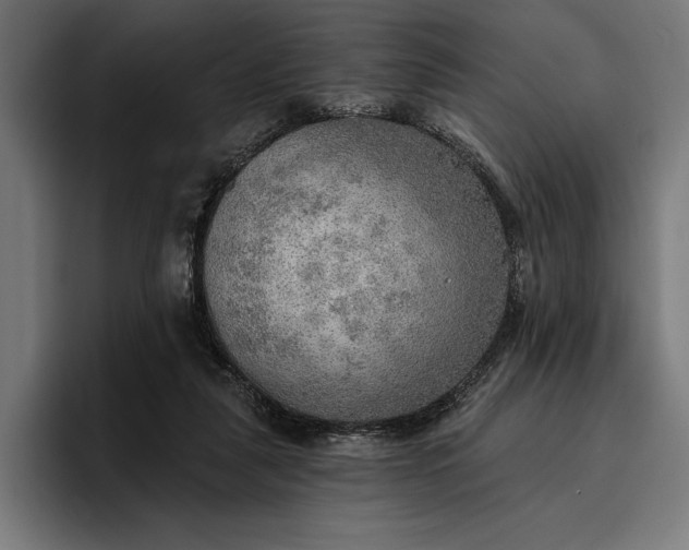 X0000096690259200802191434