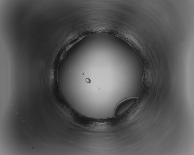 X0000096690260200802191434