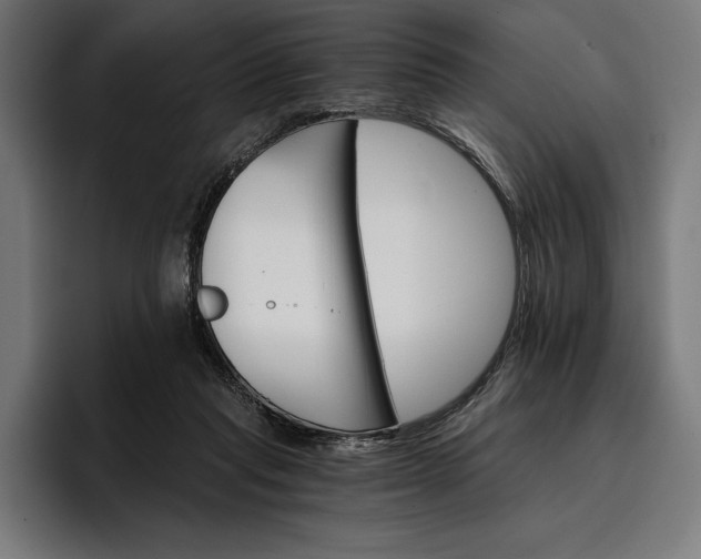 X0000096690261200802191434