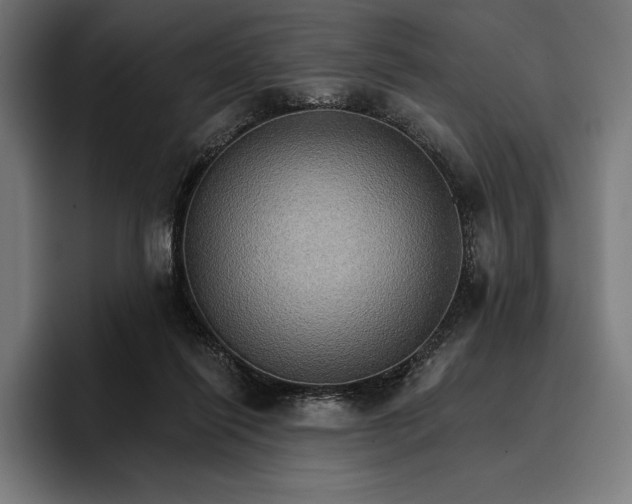 X0000096690262200802191434