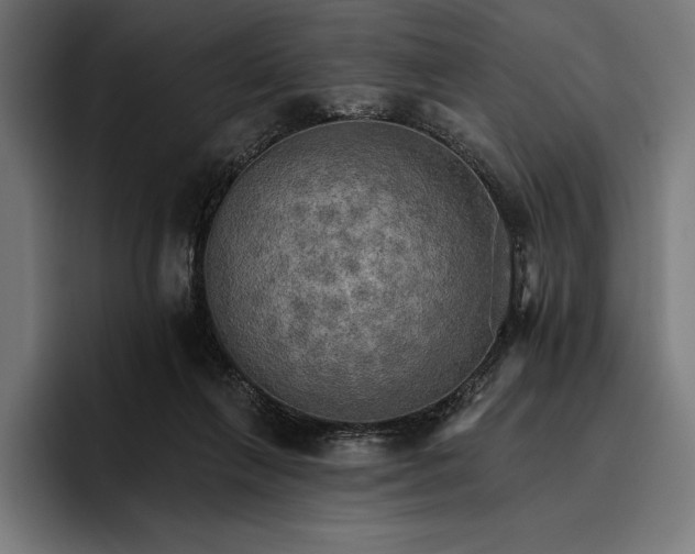 X0000096690263200802191434