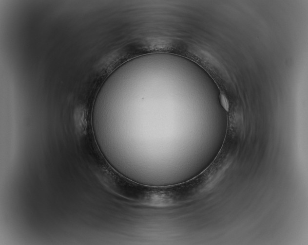 X0000096690264200802191434