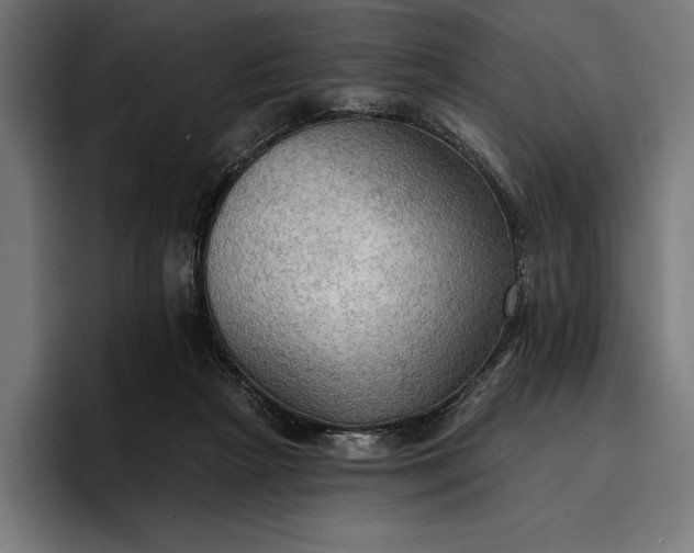 X0000096690265200802191434