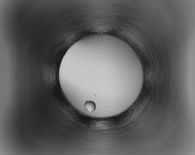 X0000096690268200802191434