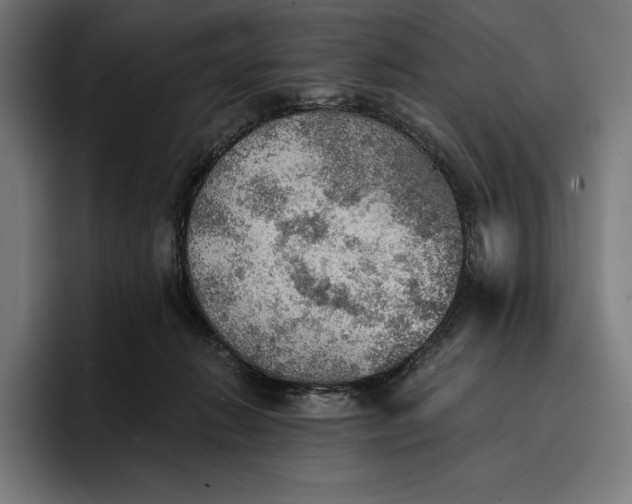 X0000096690270200802191434