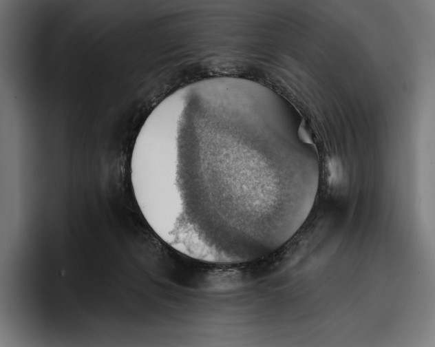 X0000096690271200802191434