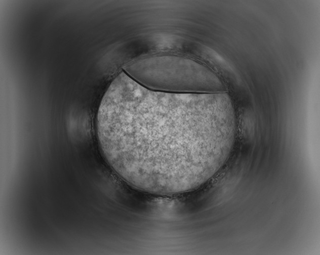 X0000096690272200802191434