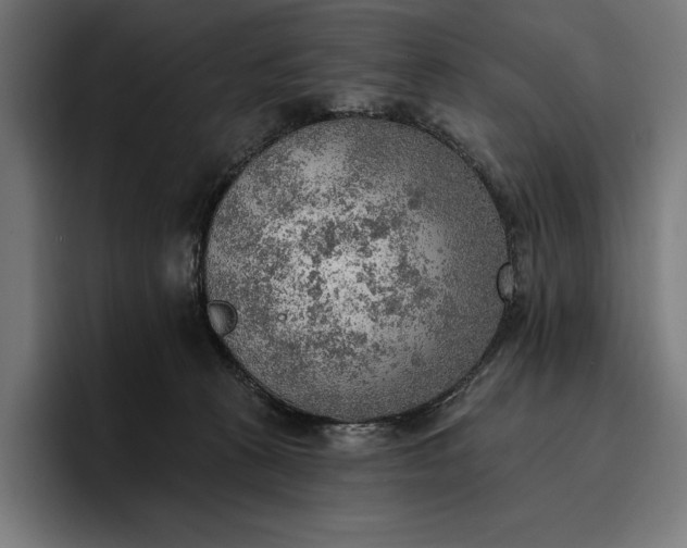 X0000096690273200802191434