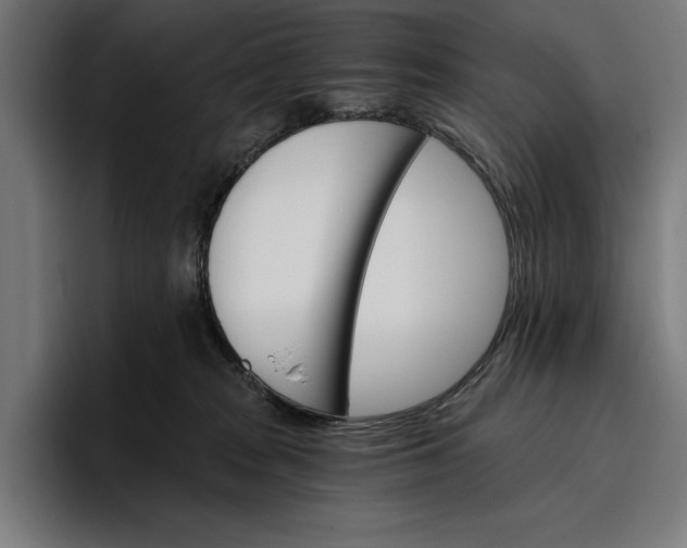 X0000096690277200802191434