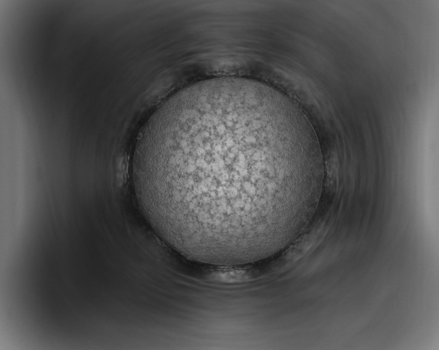 X0000096690278200802191434