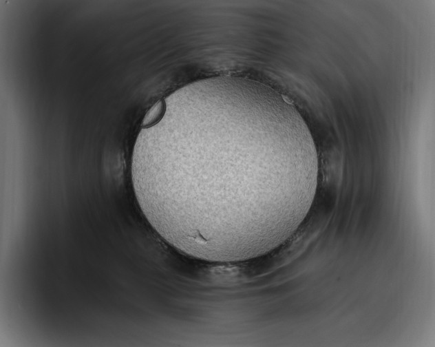 X0000096690279200802191434