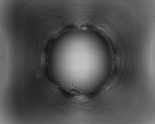 X0000096690280200802191434