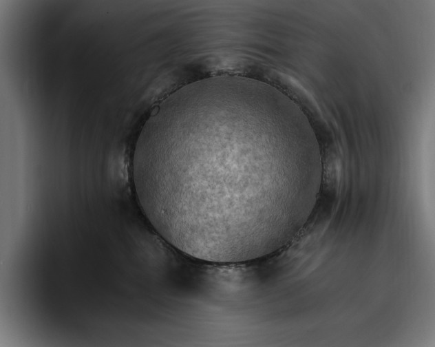 X0000096690282200802191434