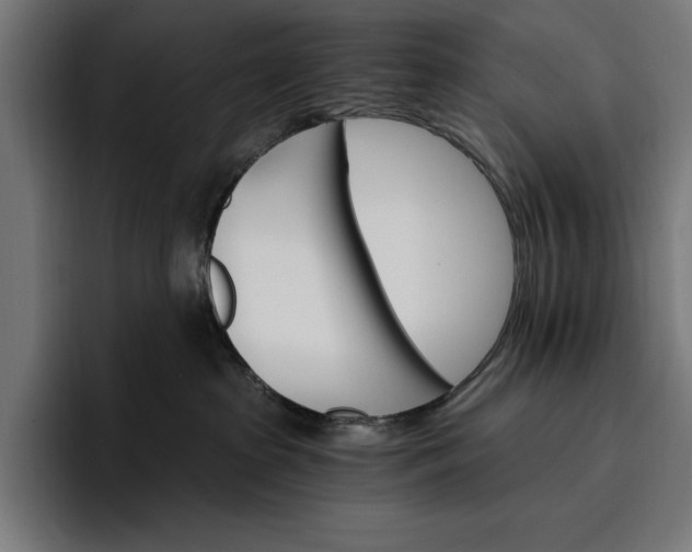 X0000096690285200802191434