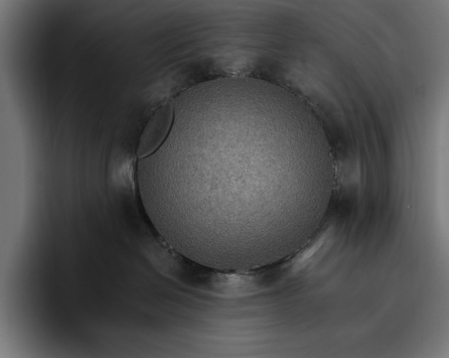 X0000096690286200802191434