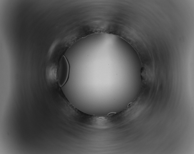 X0000096690287200802191434