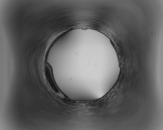 X0000096690289200802191434